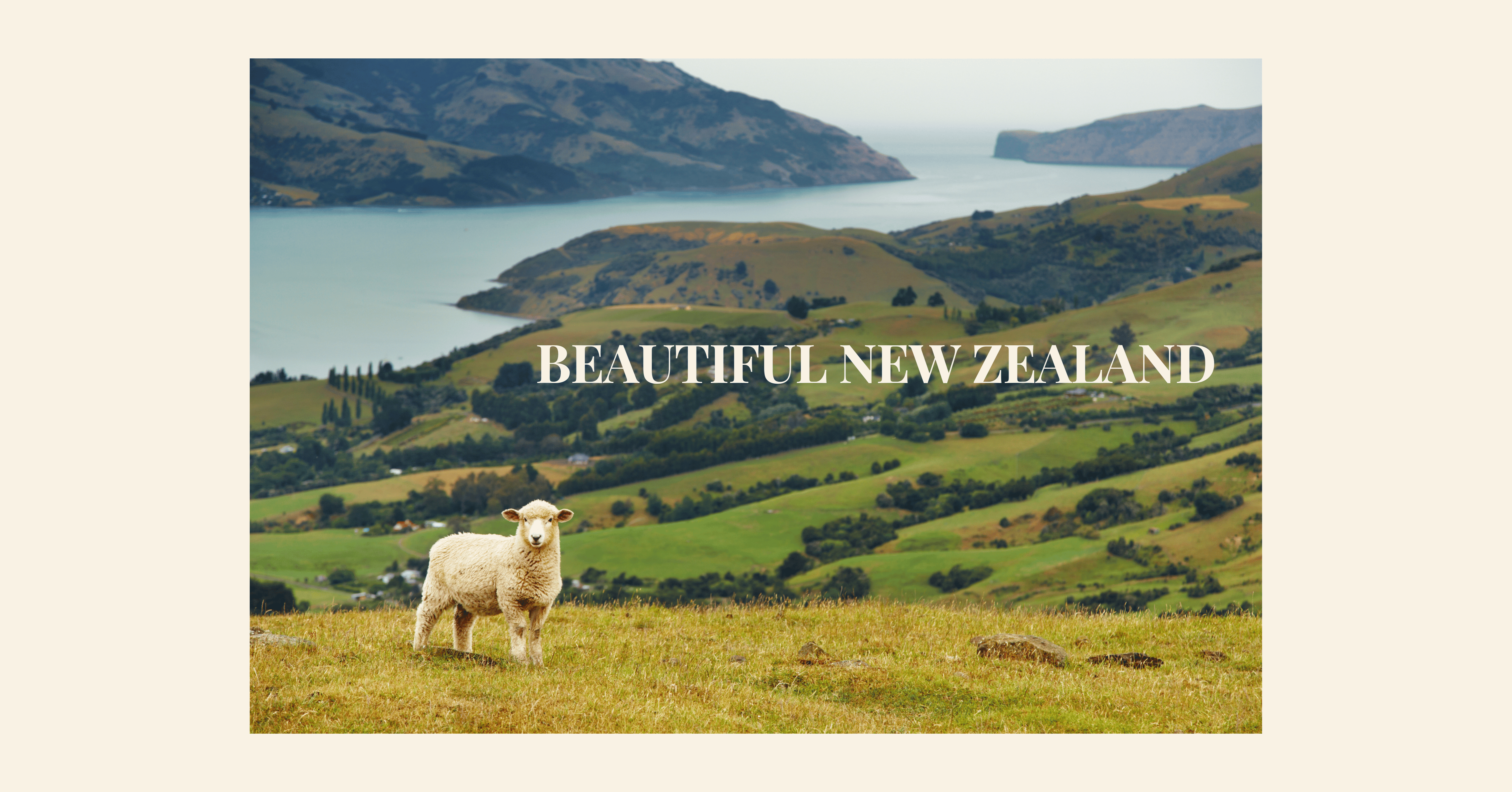 New Zealand Tourist